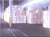 Cotton Linter