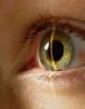VeriEye