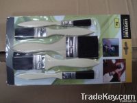 Paint Brush (set