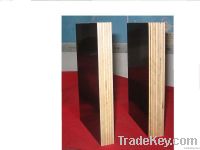 filmfaced plywood