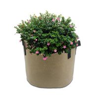 3 Gallon Tan Color Polyester Plant