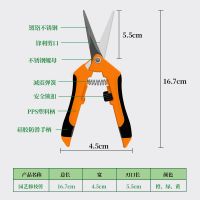 Wholesale Garden Cutting Tool Straight Stainless