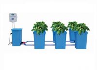 Friendly and Green Modular Hydroponic Bucket System for Home and Commercial Growth From China