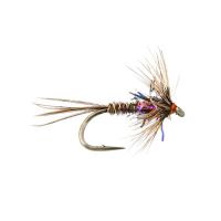 Uv Starggle Cruncher