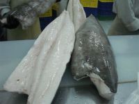 Oilfish Fillet (frozen