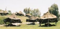Star Tent Services