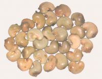 https://cn.tradekey.com/product_view/Cashew-Nut-Buyers-Cashew-Nut-Importer-Buy-Cashew-Nut-Cashew-Nut-Buyer-Low-Price-Cashew-Nut-Cashewnut-Suppliers-Cheap-Cashew-Nut-Wholesale-Cashew-Nut-Discounted-Cashew-Nut-Bulk-Cashew-Nut-Cashew-Nut-Suppliers-1198752.html