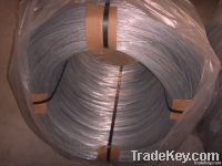 Electro galvanized wire