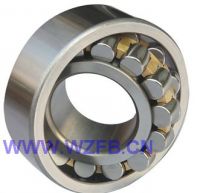 Double-row cylindrical roller bearings