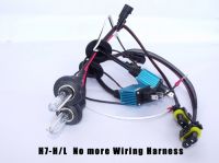 h7 hi/lo xenon bulb