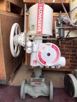Valtek Control Valves