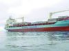Ocean freight service