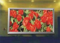 LED Display Full Color PH5mm