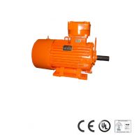 Flameproof Three Phase Induction motor for Underground Coal Mine use
