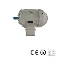 Series NEH NEMA D motors