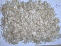 Organic Dried Fish Scale â Processed Raw Material for Skincare & Medicine