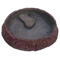 Reptile Dish