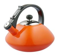 Enamel tea kettle