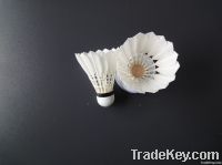 Middle size Class A goose feather badminton shuttlecock