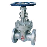 carbon gate valve