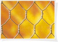 hexagonal wire mesh