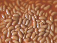 canned baked beans in tomato sauce