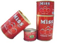800g CANNED TOMATO PASTE