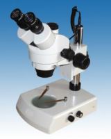 Zoom Stereo Microscope