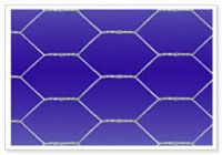 Hexagonal Wire Netting