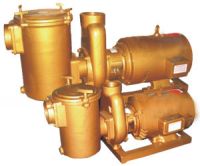 swimming pool pump