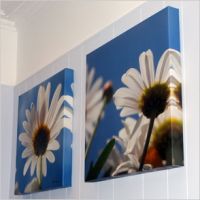 Canvas Painting