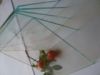 Sheet Glass
