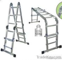 Telescopic ladder series