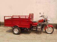 Cargo Tricycle