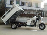 Cargo Tricycle 2