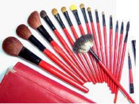 Professional brush set