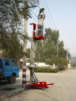 Single-mast aerial working platform