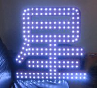 Exposed Monochromatic LED Word