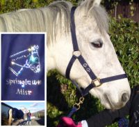Exclusive GG Bling Horse and Pony Show &amp; Travel Kit