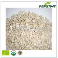 Organic sunflower seed kernel