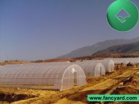 https://cn.tradekey.com/product_view/Agricultural-Greenhouse-Poly-Film-Greenhouse-1238982.html
