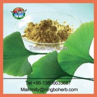 ginkgo biloba extract