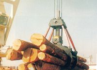 Single Rope Timber Grab