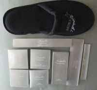 hotel amenity