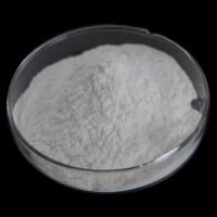 Sodium Alginate Food Grade