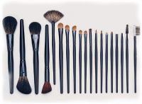 cosmetic brush set