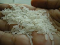 Jasmine Rice