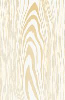 wall tile, ceramic wall tile, interior wall tile