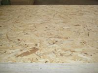 OSB(oriented strand board)