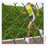 Chain Link Fence